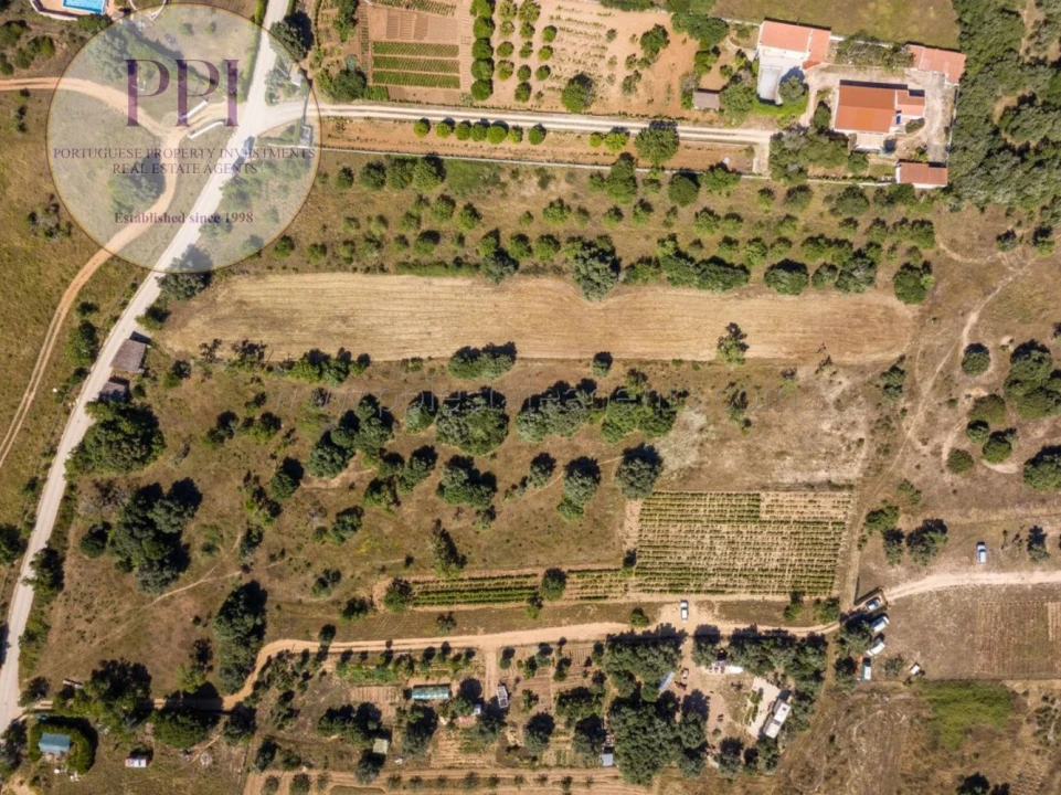 Terreno para Venda em Barão de São Miguel Foto 19