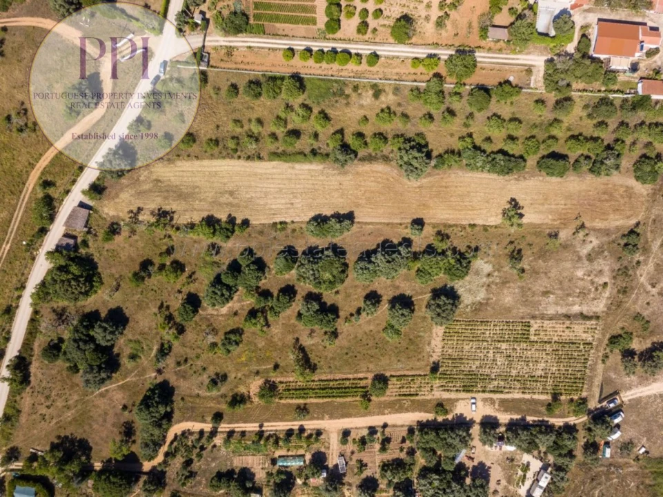 Terreno para Venda em Barão de São Miguel Foto 17