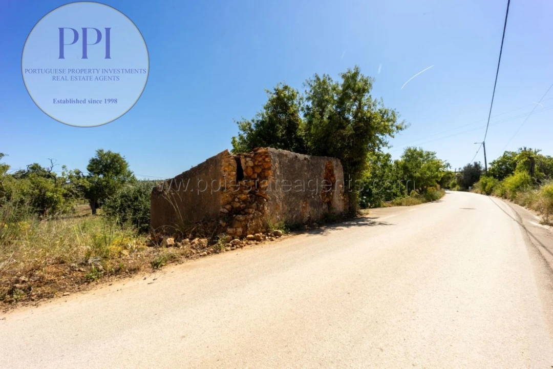 Terreno para Venda em Barão de São Miguel Foto 6