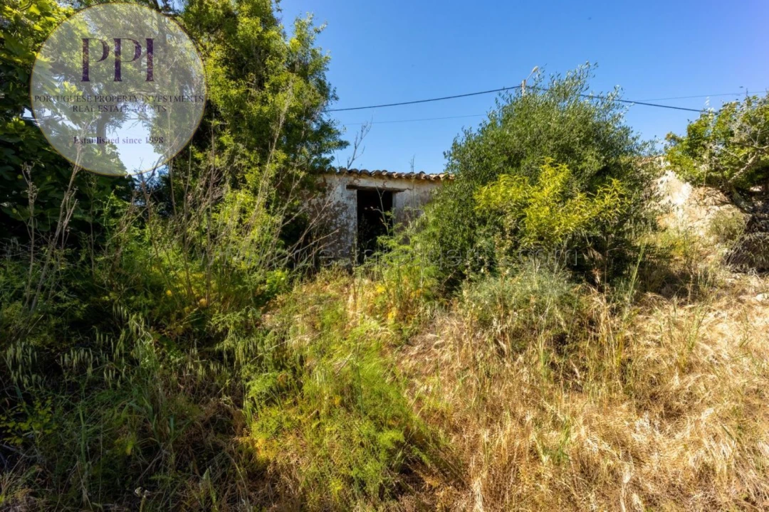 Terreno para Venda em Barão de São Miguel Foto 5