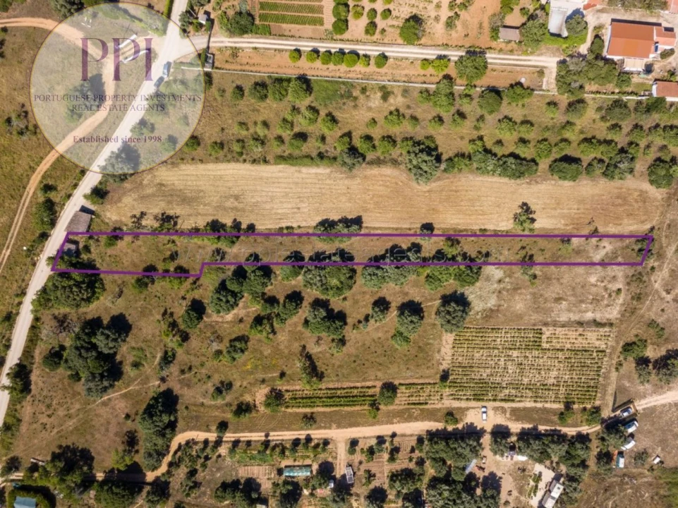 Terreno para Venda em Barão de São Miguel Foto 18