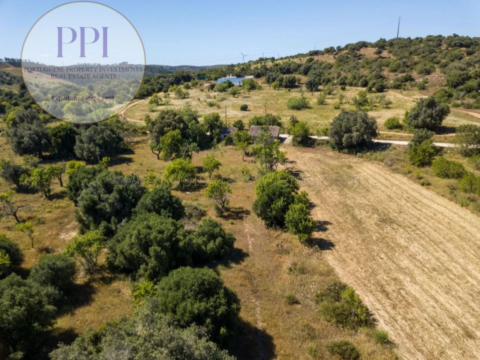 Terreno para Venda em Barão de São Miguel Foto 10