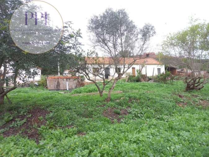 Moradia T1 para Venda em Mexilhoeira Grande Foto 22