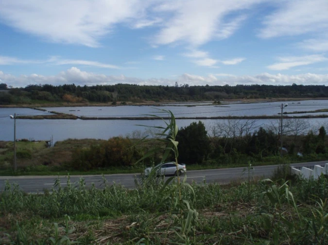 Terreno para Venda em Vagos e Santo António Foto 1