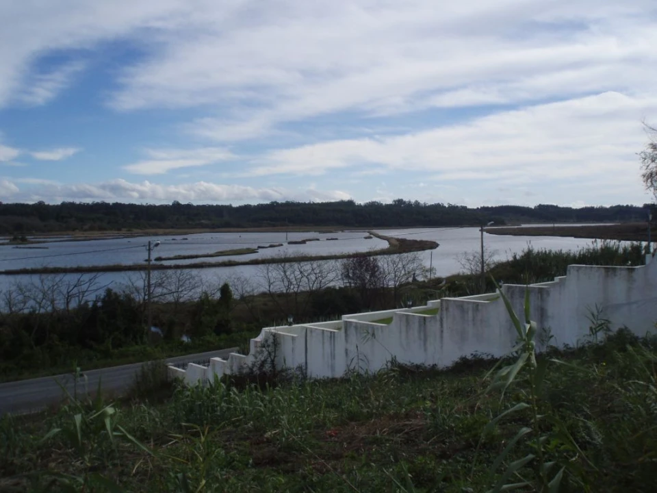 Terreno para Venda em Vagos e Santo António Foto 3