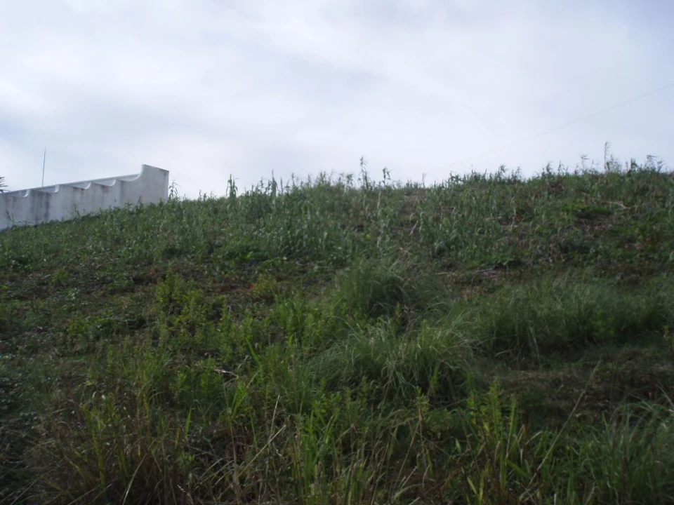 Terreno para Venda em Vagos e Santo António Foto 4