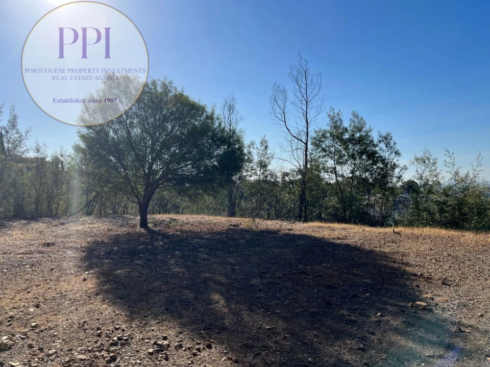 Terreno para Venda em Monchique Foto 19