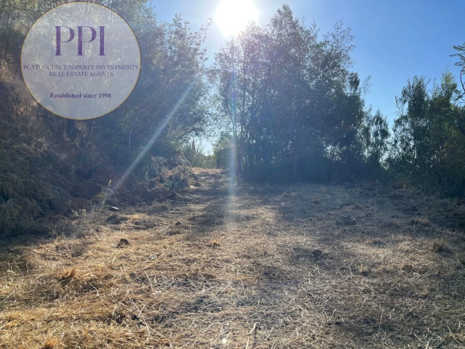 Terreno para Venda em Monchique Foto 13