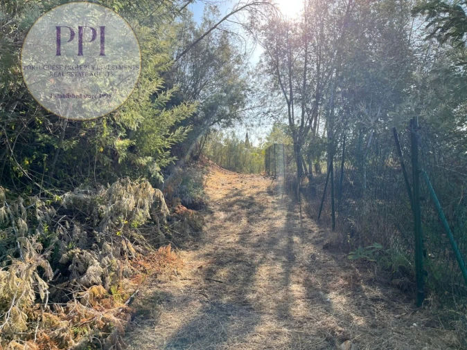 Terreno para Venda em Monchique Foto 14