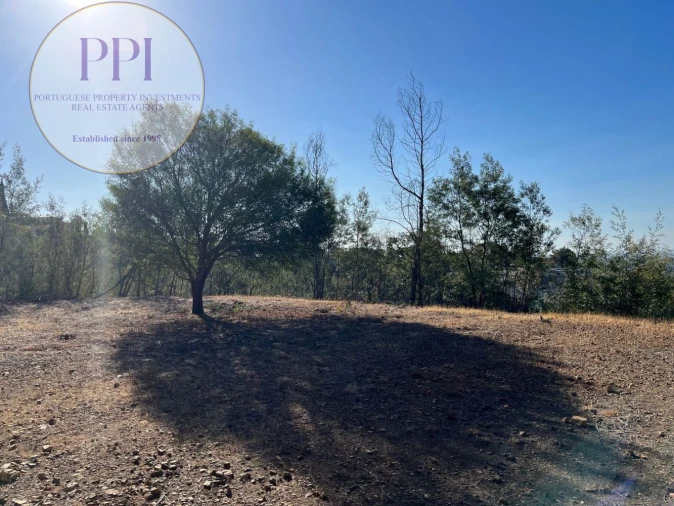 Terreno para Venda em Monchique Foto 19