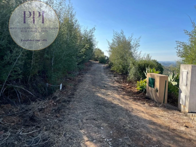 Terreno para Venda em Monchique Foto 3