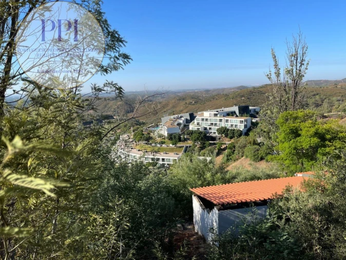 Terreno para Venda em Monchique Foto 40