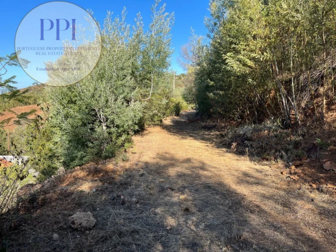 Terreno para Venda em Monchique Foto 44