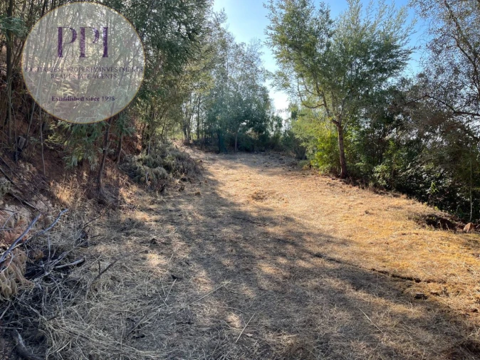 Terreno para Venda em Monchique Foto 12