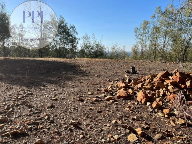 Terreno para Venda em Monchique Foto 24