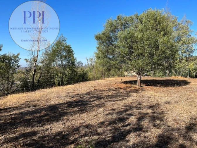 Terreno para Venda em Monchique Foto 35