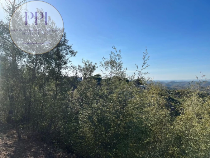 Terreno para Venda em Monchique Foto 27