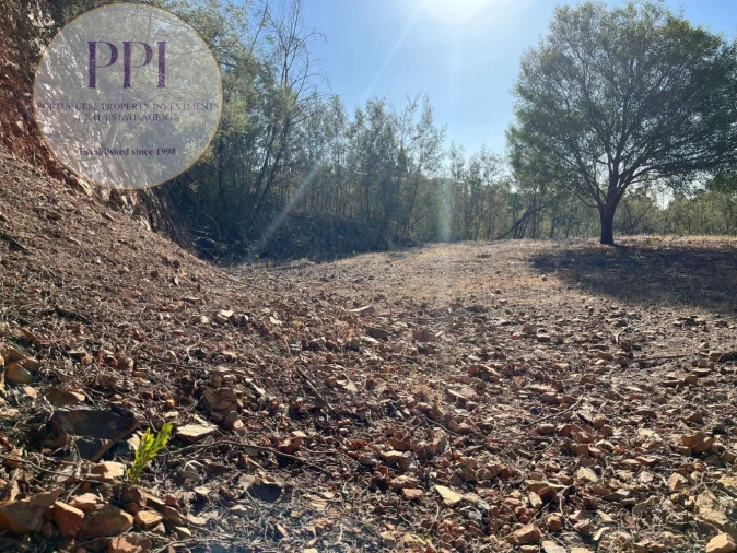 Terreno para Venda em Monchique Foto 21
