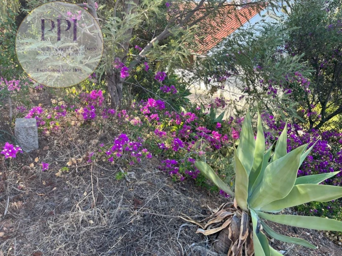 Terreno para Venda em Monchique Foto 11