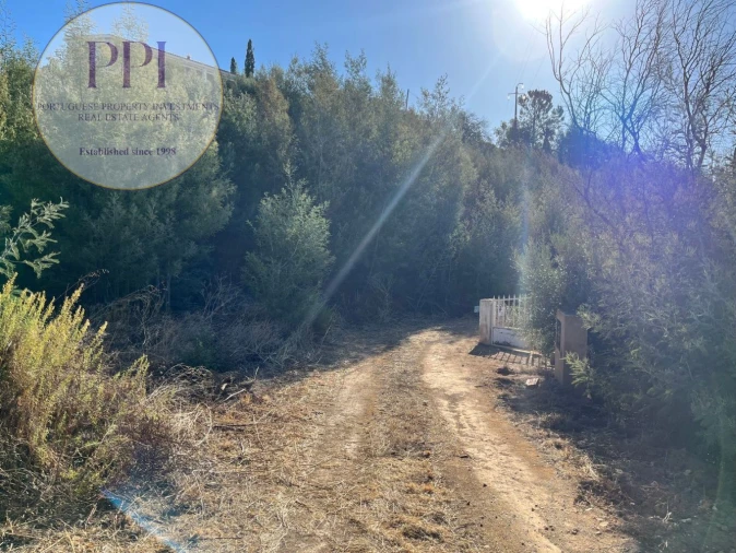 Terreno para Venda em Monchique Foto 2