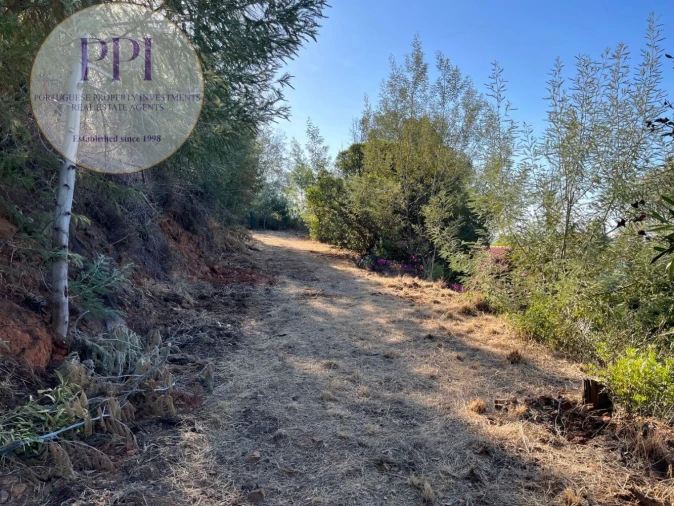 Terreno para Venda em Monchique Foto 8