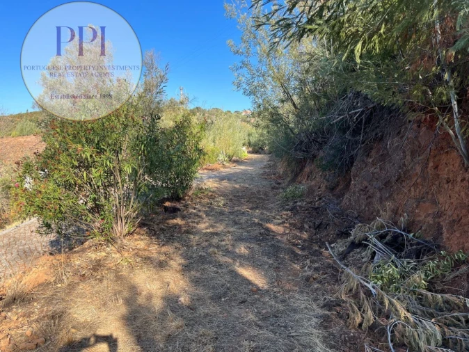 Terreno para Venda em Monchique Foto 49