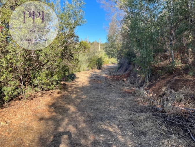Terreno para Venda em Monchique Foto 48