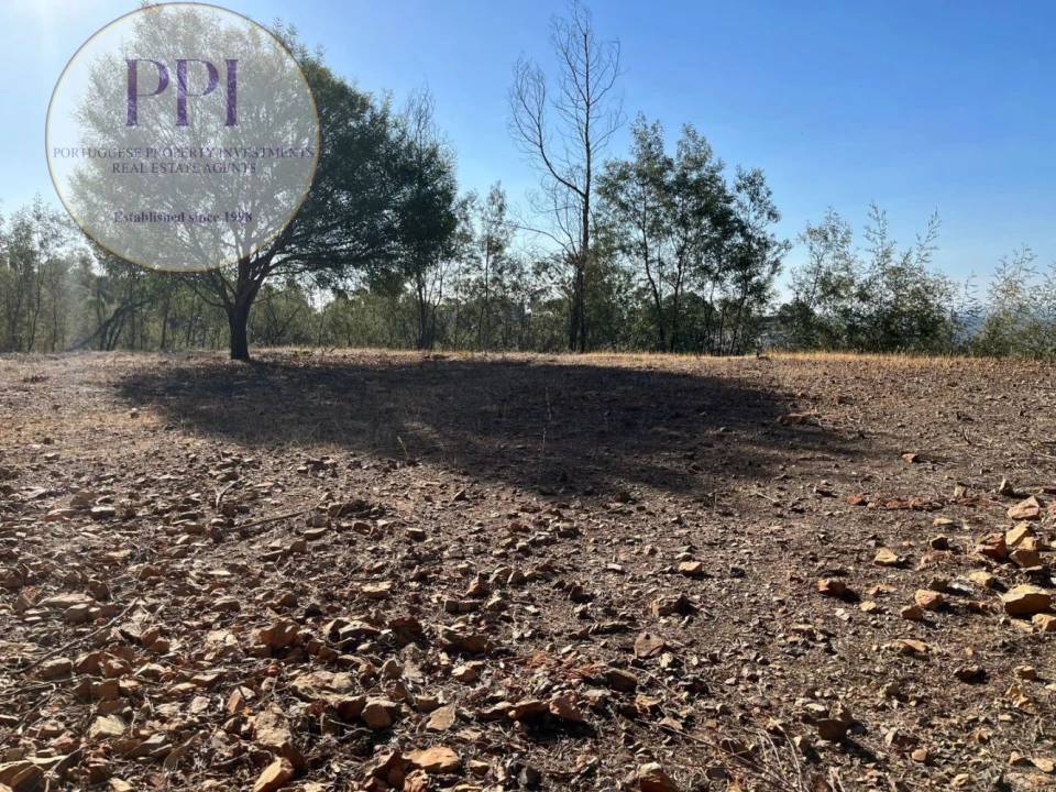 Terreno para Venda em Monchique Foto 23