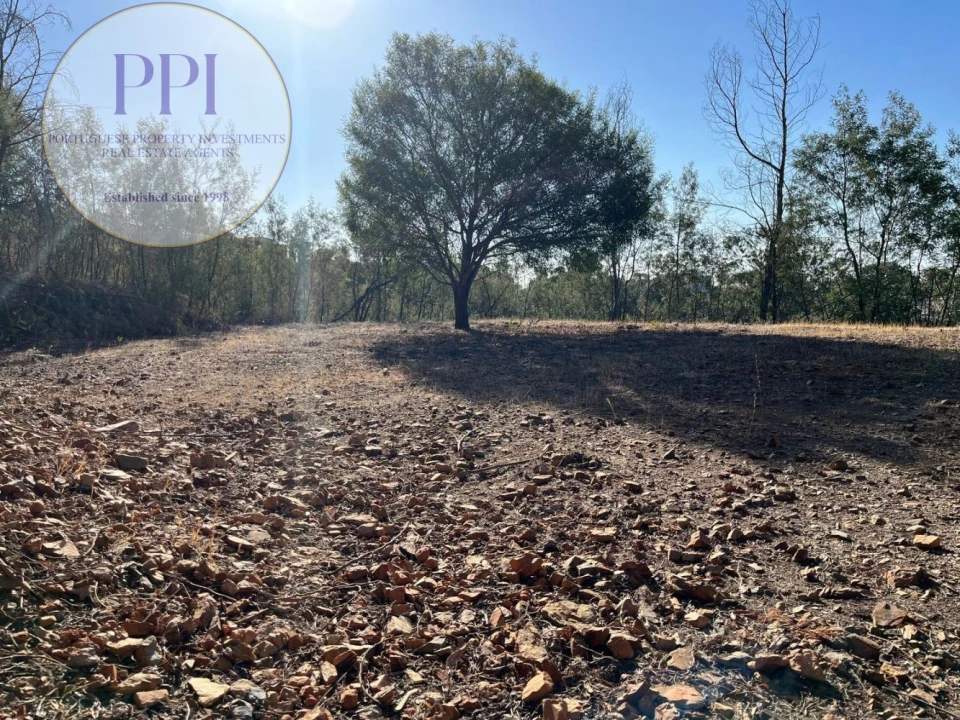 Terreno para Venda em Monchique Foto 22