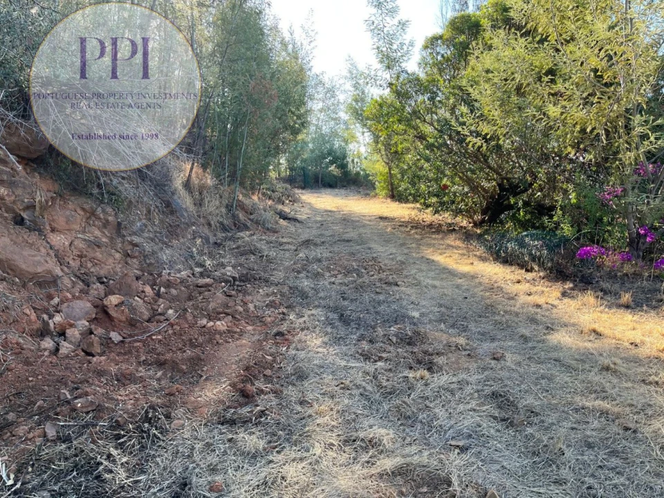 Terreno para Venda em Monchique Foto 9