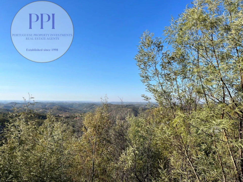 Terreno para Venda em Monchique Foto 25