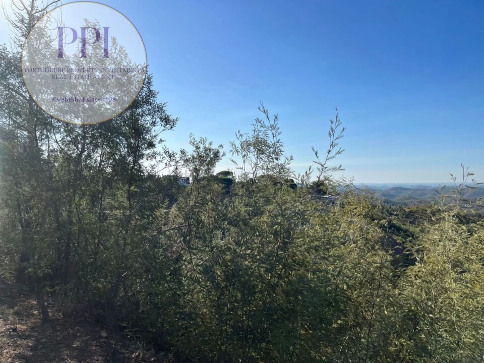 Terreno para Venda em Monchique Foto 27