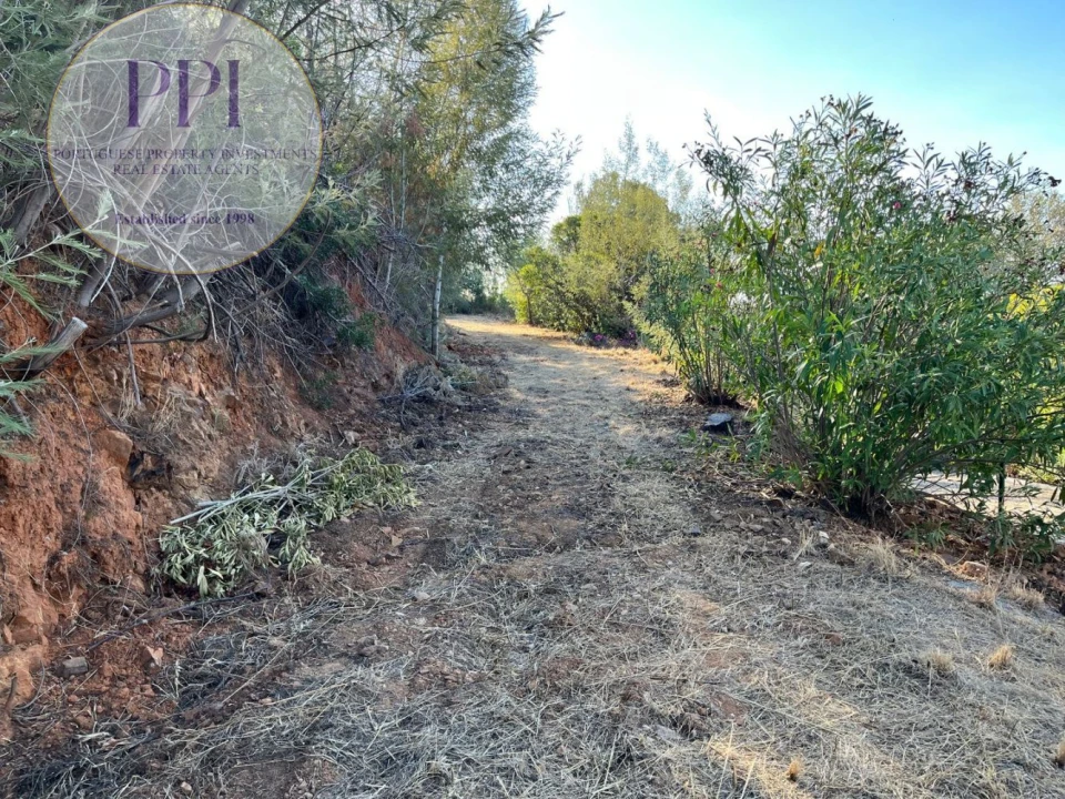 Terreno para Venda em Monchique Foto 7