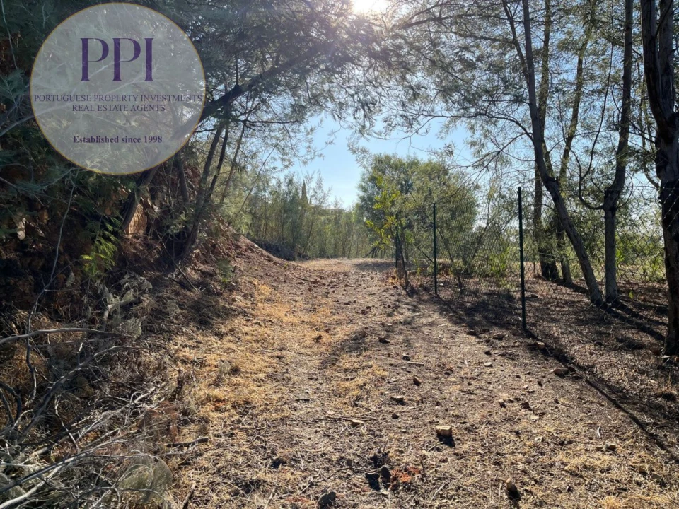 Terreno para Venda em Monchique Foto 15