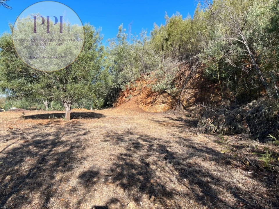 Terreno para Venda em Monchique Foto 34