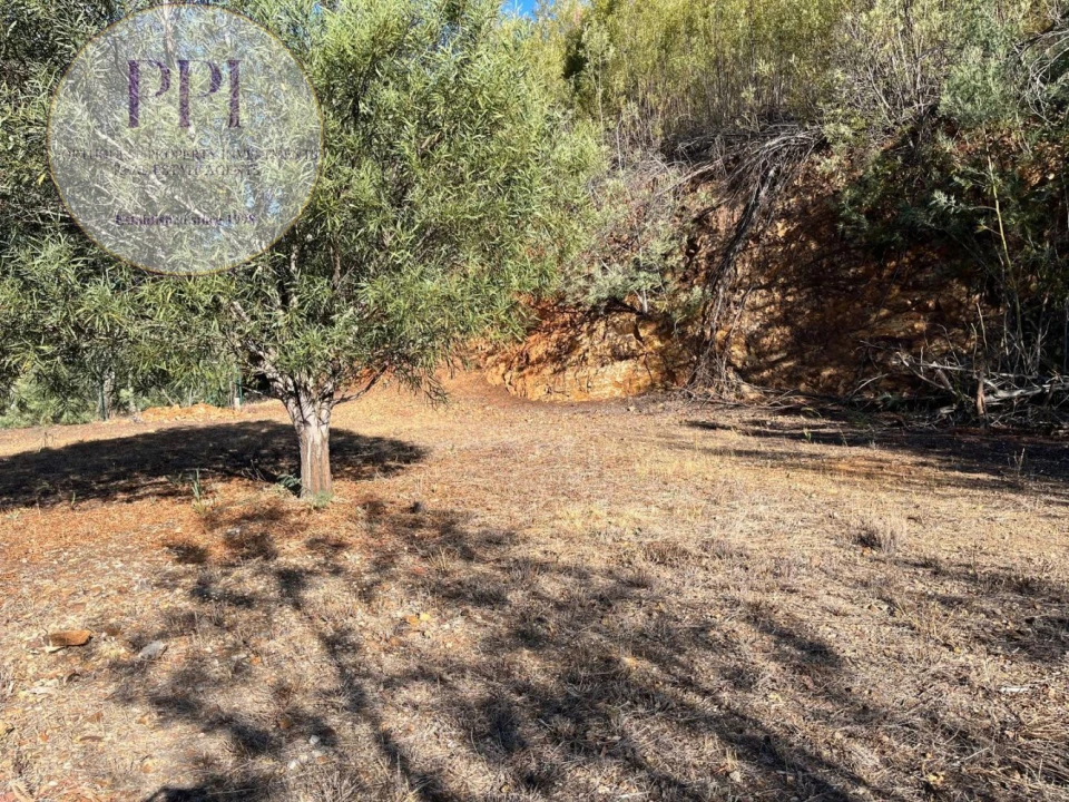 Terreno para Venda em Monchique Foto 32