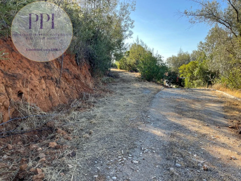 Terreno para Venda em Monchique Foto 6