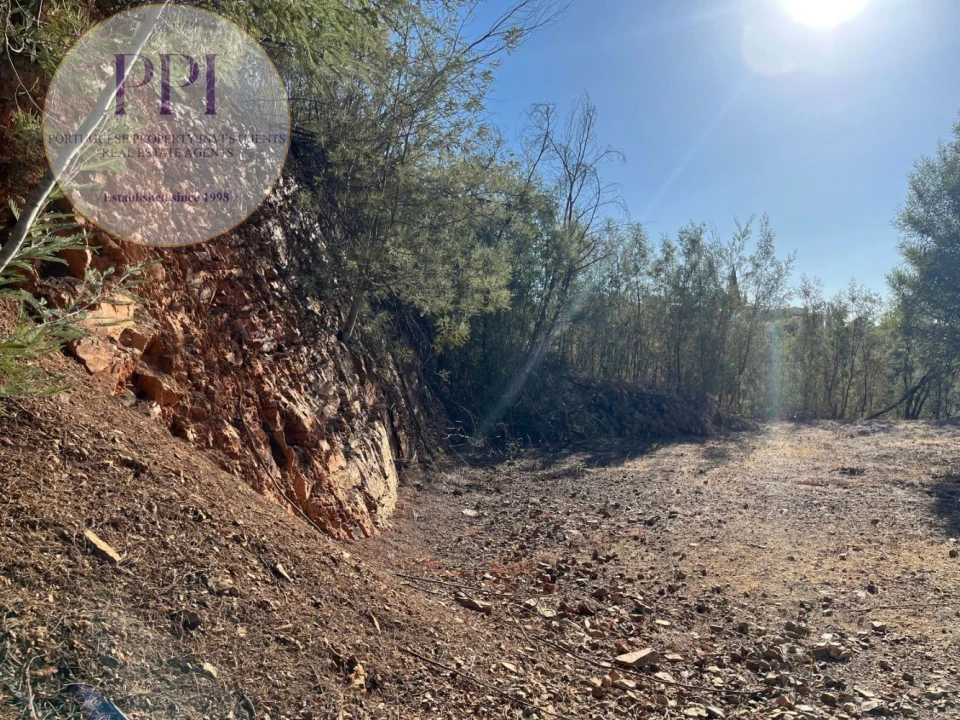 Terreno para Venda em Monchique Foto 17