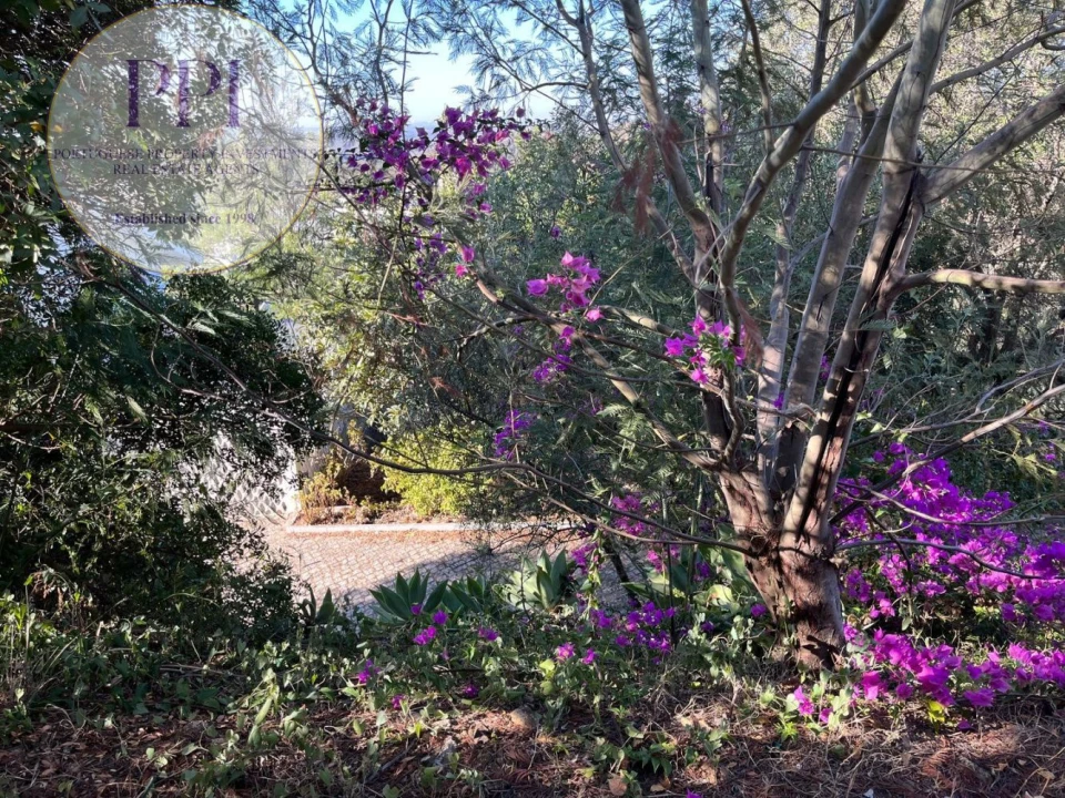 Terreno para Venda em Monchique Foto 10