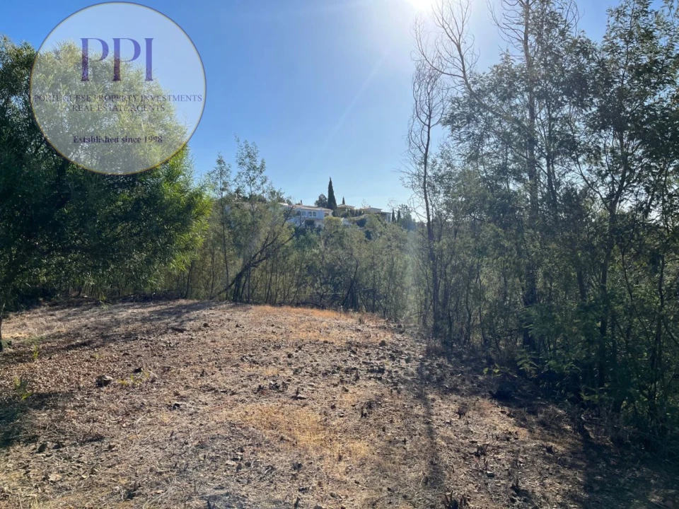 Terreno para Venda em Monchique Foto 28