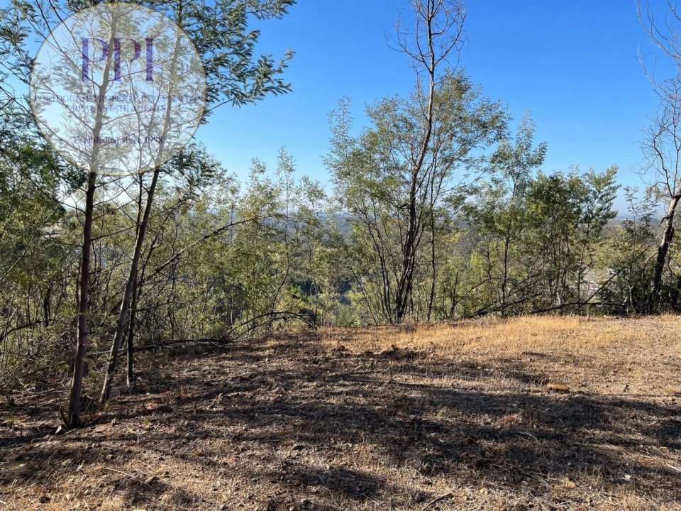 Terreno para Venda em Monchique Foto 36