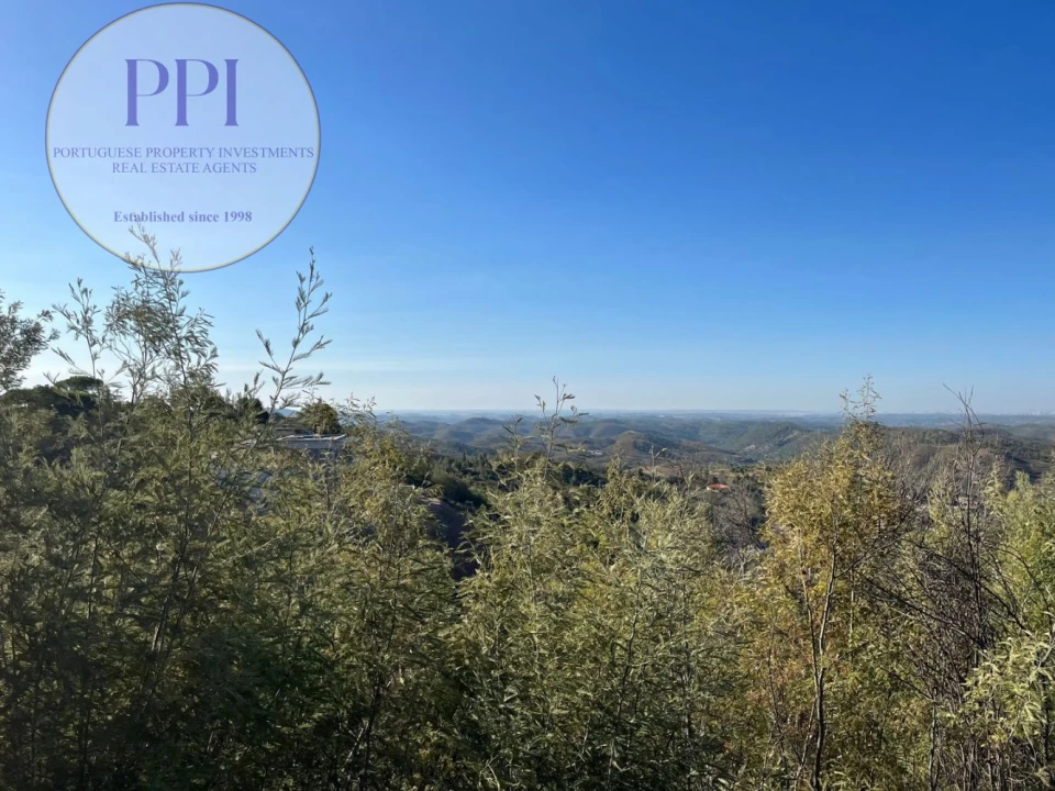 Terreno para Venda em Monchique Foto 26