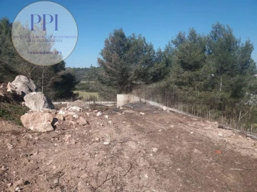 Terreno para Venda em Budens