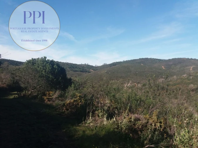 Quinta T0 para Venda em Bensafrim e Barão de São João Foto 6