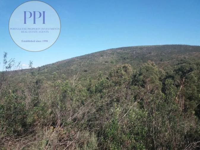 Quinta T0 para Venda em Bensafrim e Barão de São João Foto 8