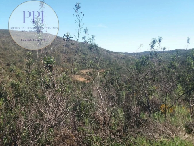 Quinta T0 para Venda em Bensafrim e Barão de São João Foto 9