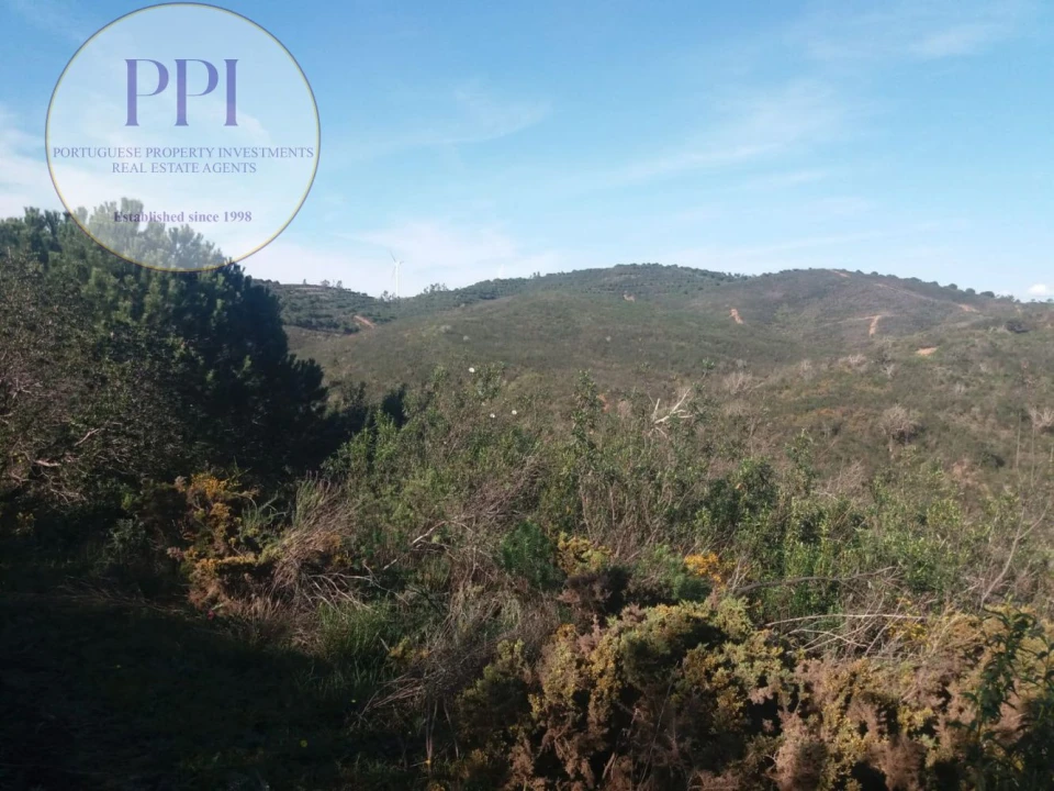 Quinta T0 para Venda em Bensafrim e Barão de São João Foto 4