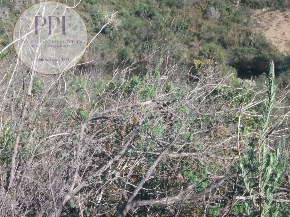 Quinta T0 para Venda em Bensafrim e Barão de São João Foto 14