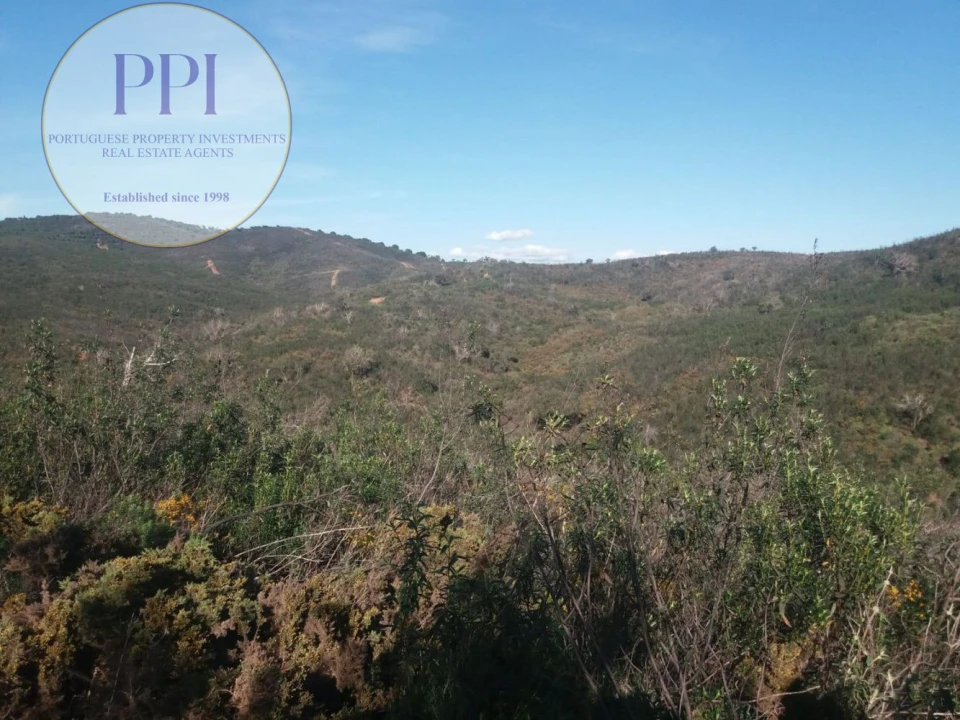 Quinta T0 para Venda em Bensafrim e Barão de São João Foto 5