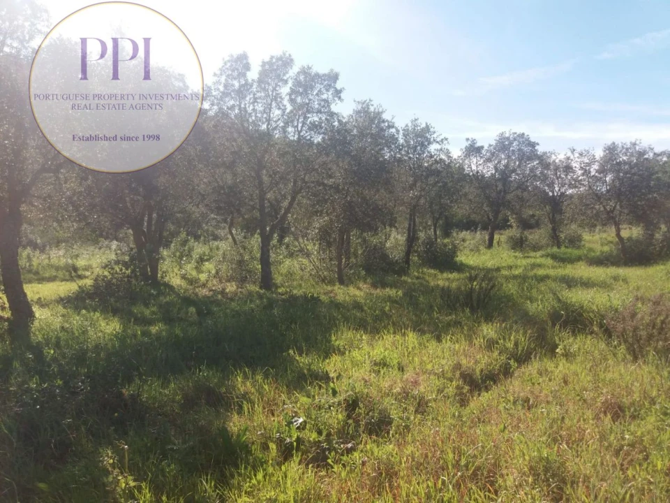 Quinta T0 para Venda em Bensafrim e Barão de São João Foto 10
